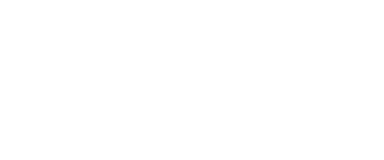 WSI | Consultoría de Marketing Digital