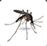 Mosquito | Residential Pest Control Toowoomba
