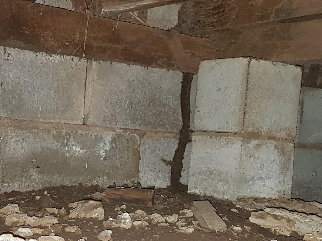 A termite trail up a wall under a house