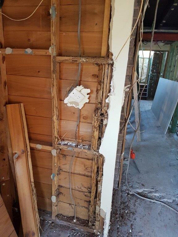 Termites in the frame of a home in Toowoomba