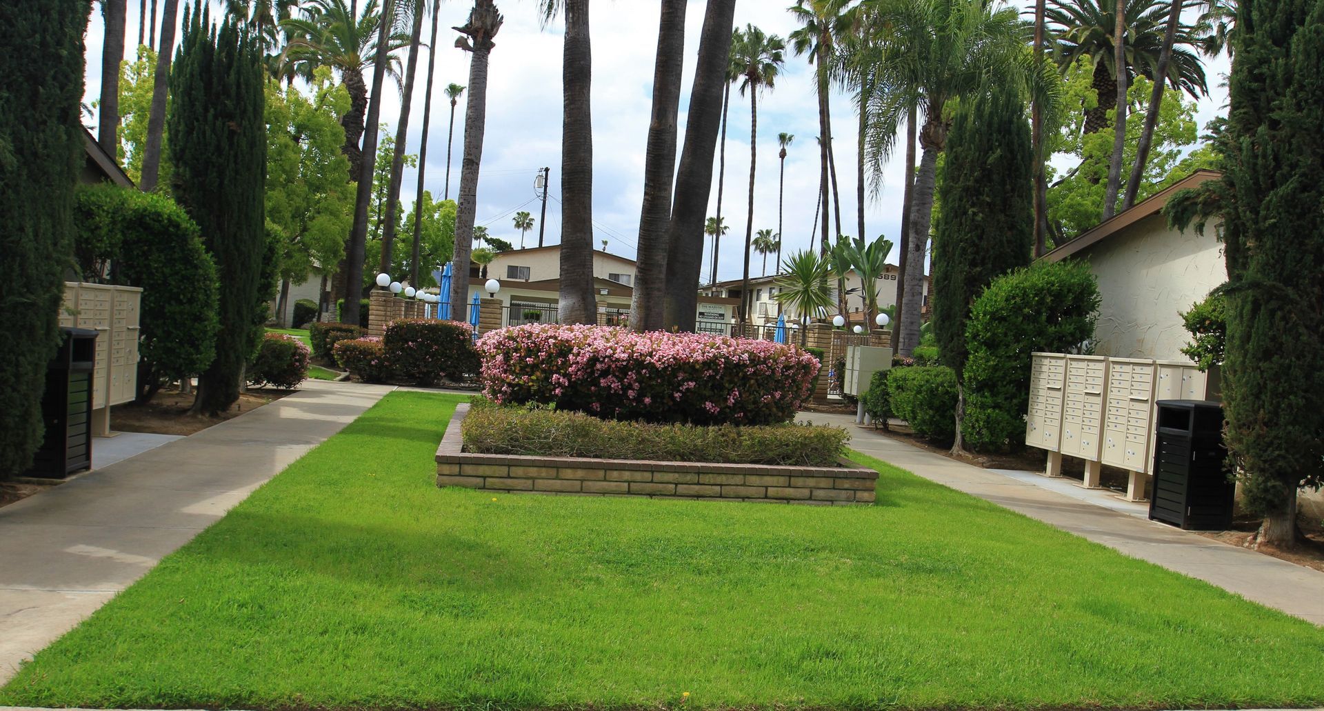 A lush green lawn with palm trees in the background