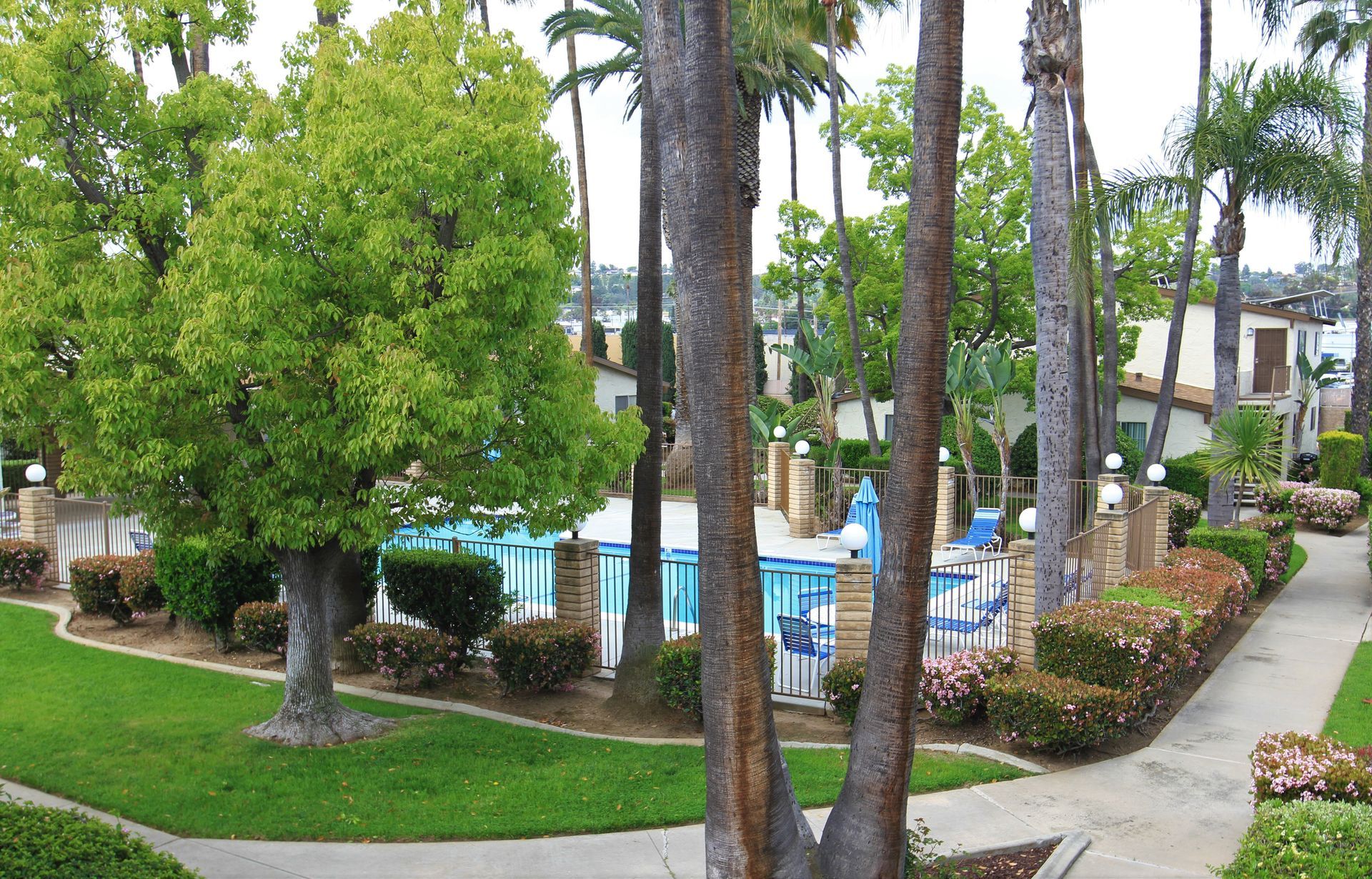 A lush green park with palm trees and a swimming pool