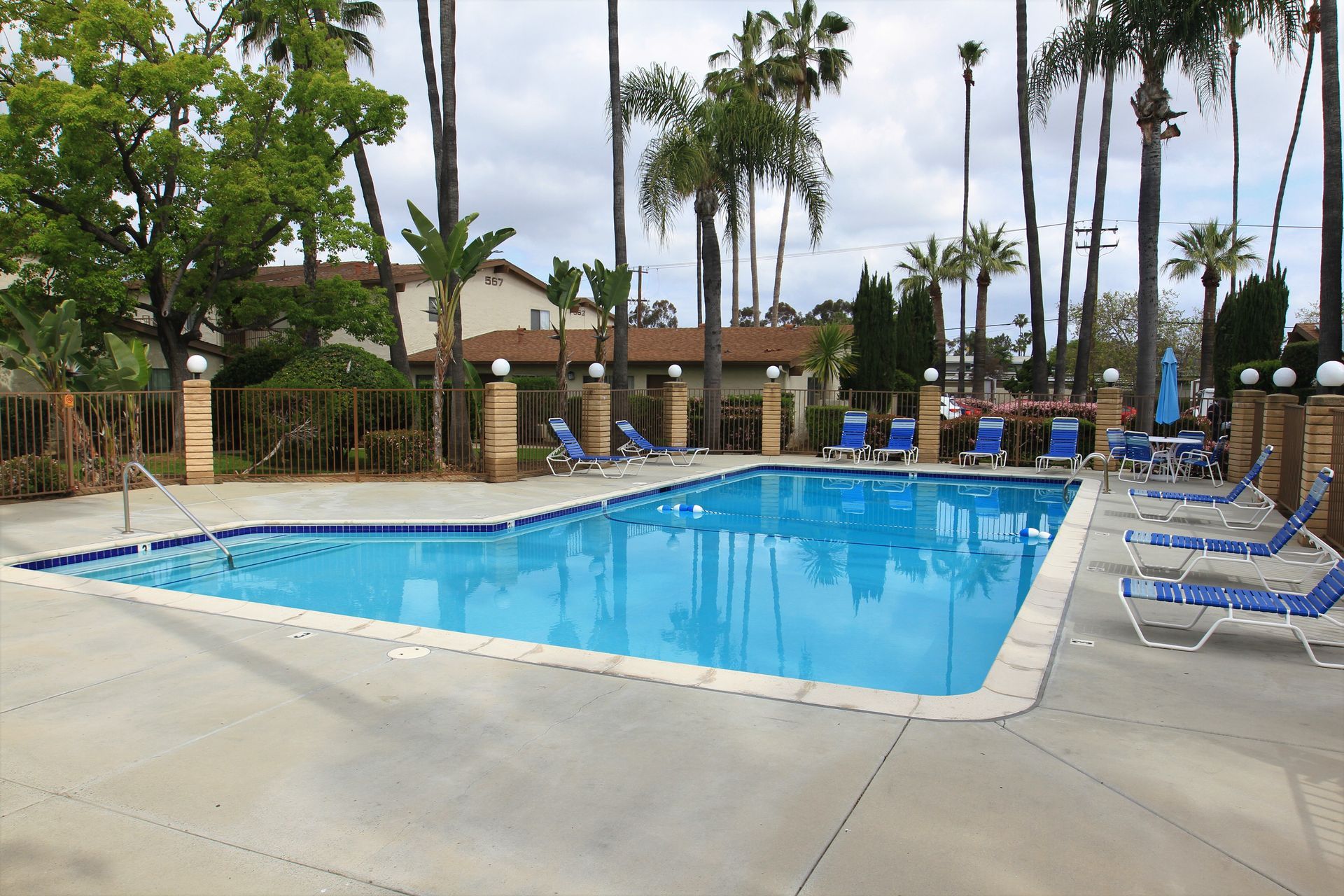 A large swimming pool with palm trees in the background