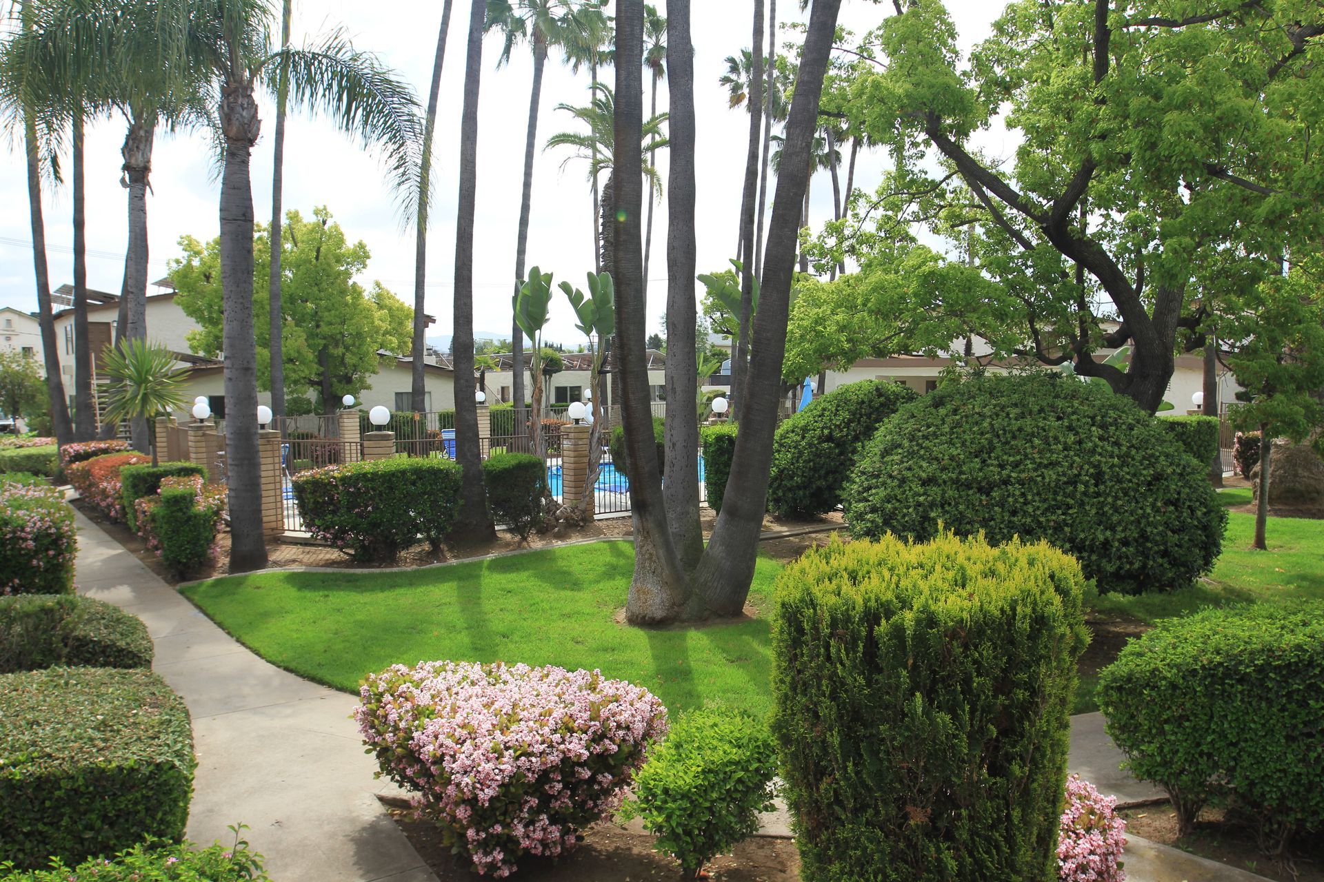 A lush green park with palm trees and bushes