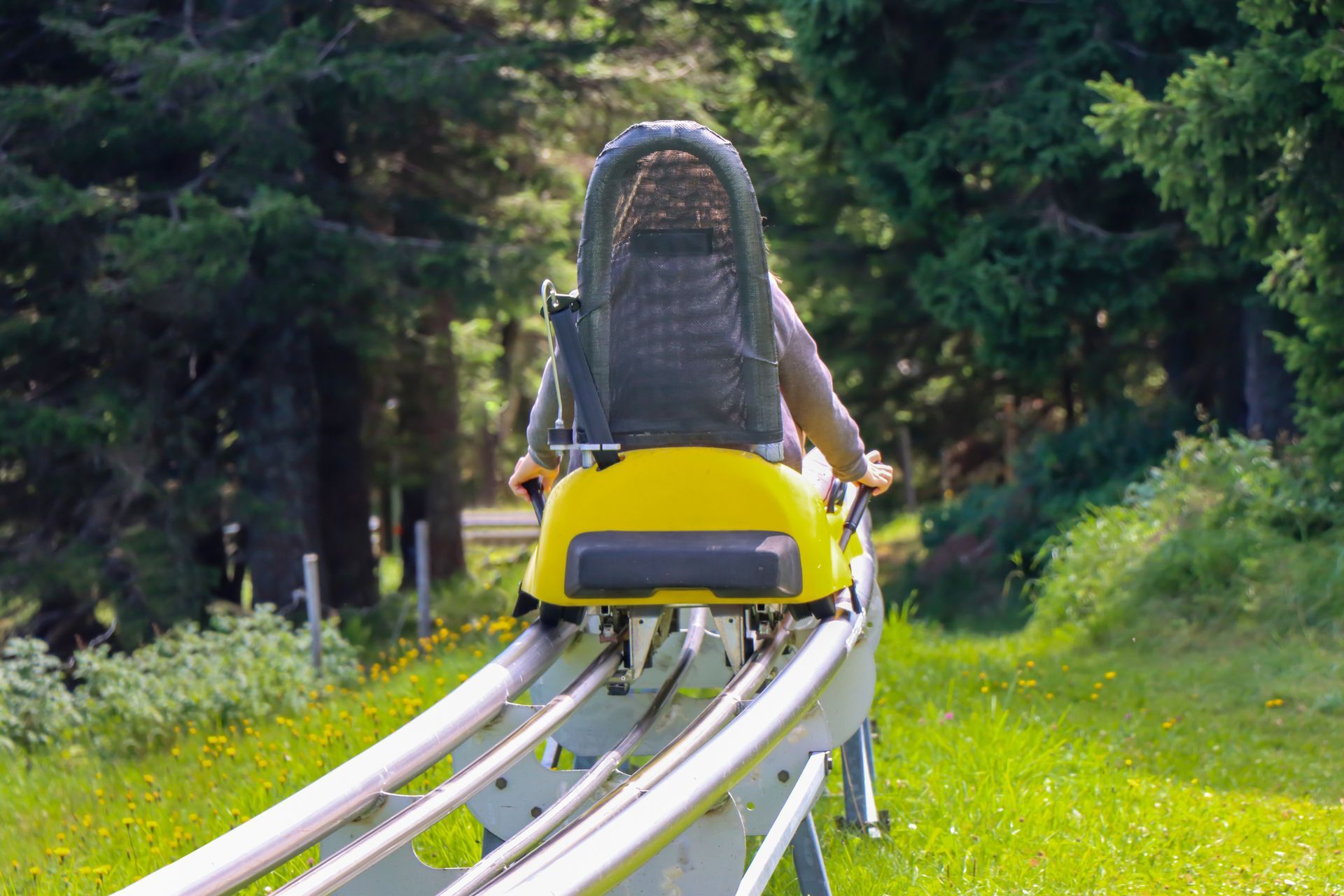 A person is riding a roller coaster in the woods.