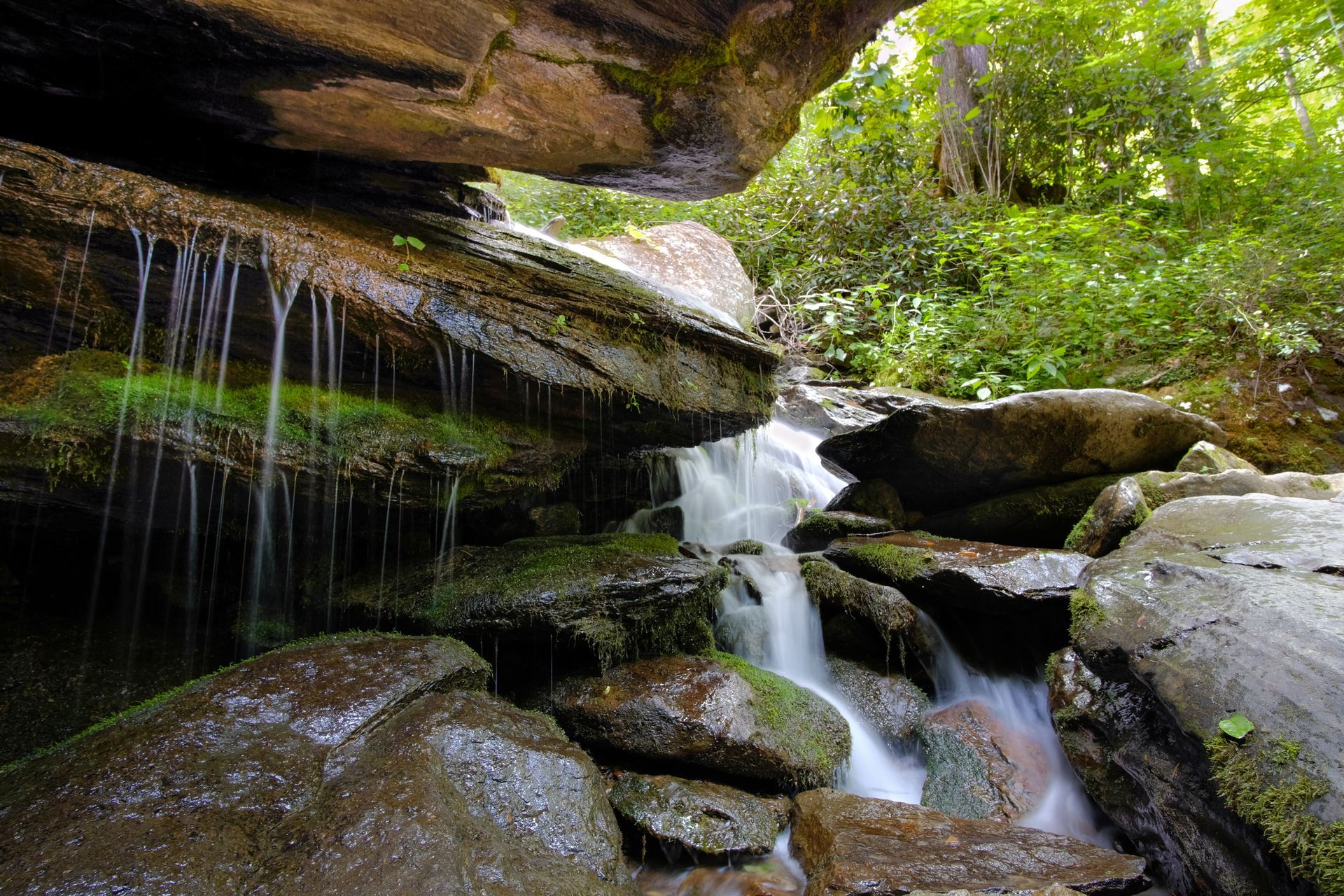 A small waterfall is surrounded by rocks and trees in the woods.