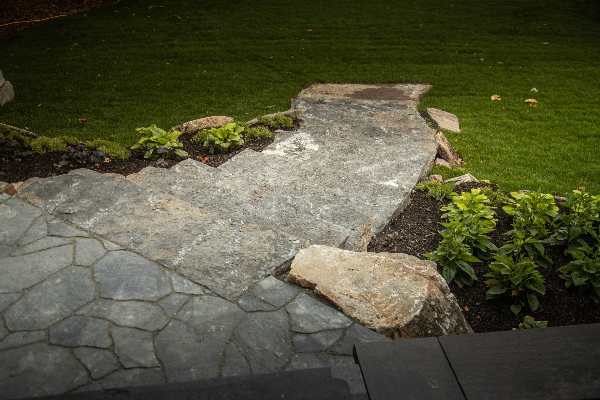 Stone path winding through a garden, with grass and foliage.