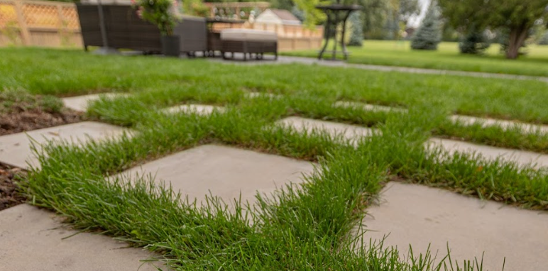Square patio pavers in a grid with grass between each stone, blending lawn and hardscape.
