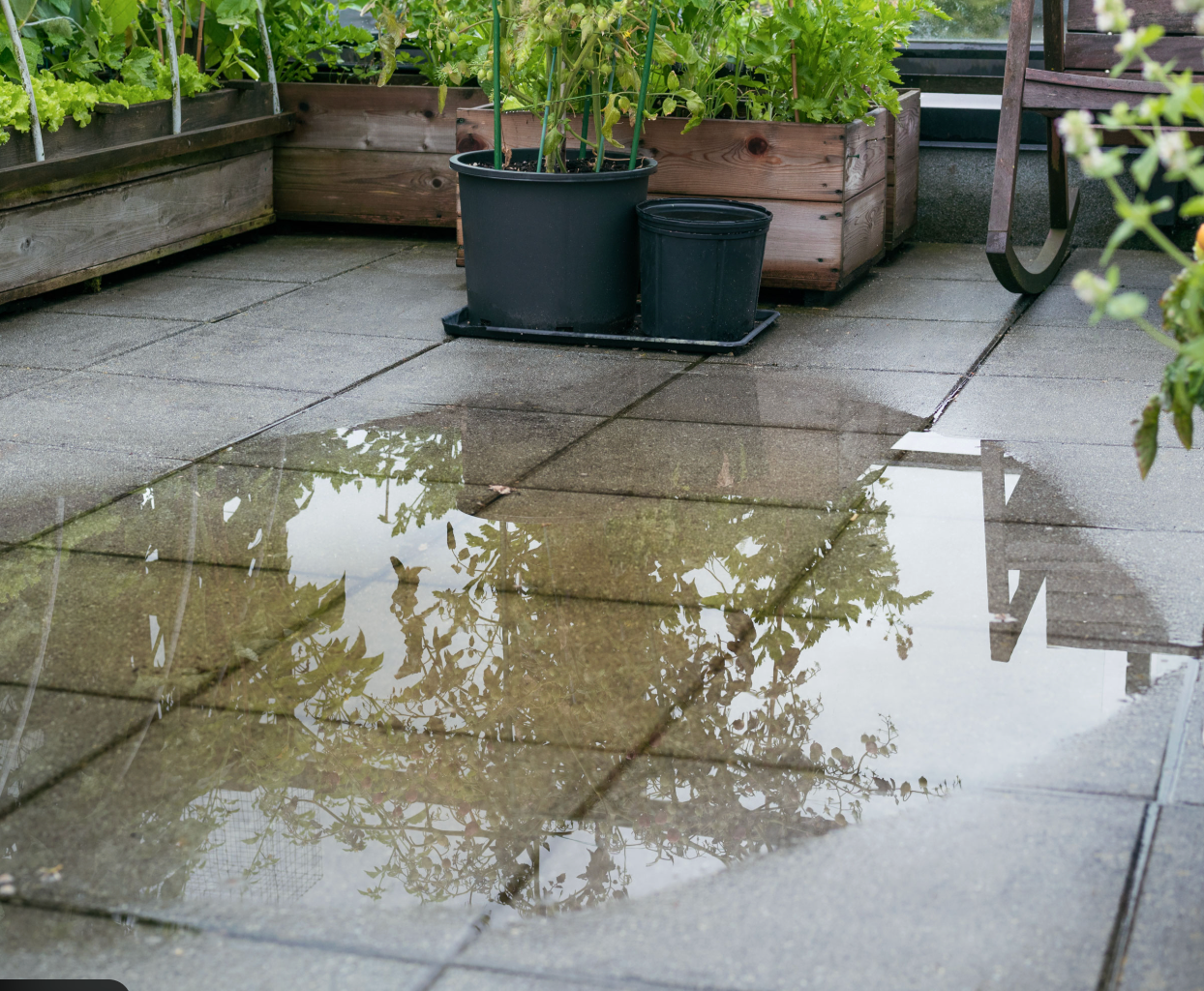 Backyard with standing water and saturated lawn showing drainage issues during spring thaw