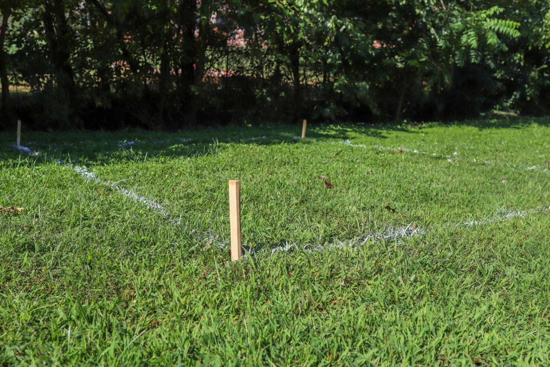 Backyard with stakes and layout markings for a landscaping project.