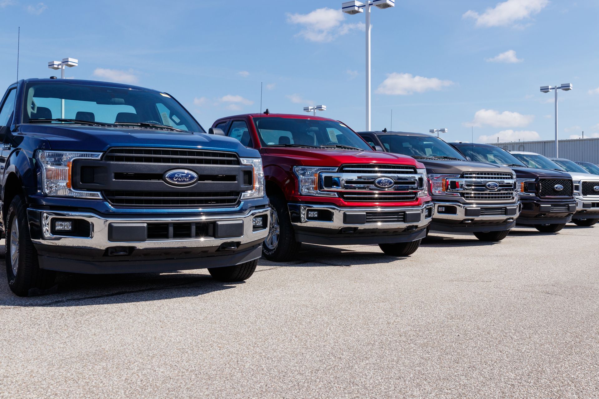 Ford trucks in various colors parked at a dealership on a sunny day.
