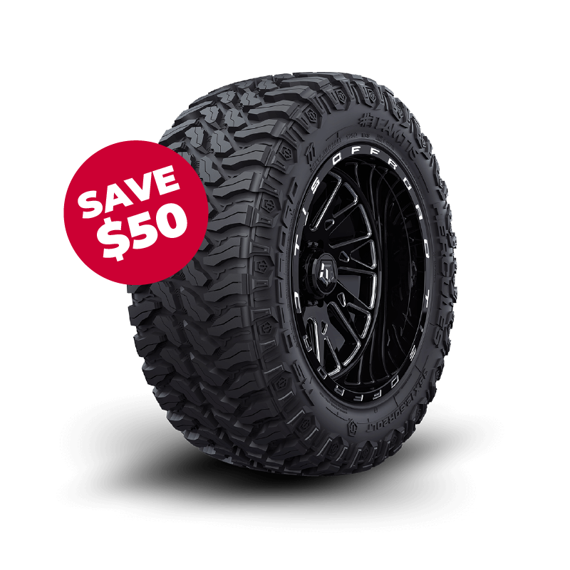 <p class="rteBlock">$50 OFF 4 Tires</p>
