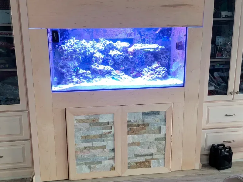A large aquarium is built into the wall of a living room.