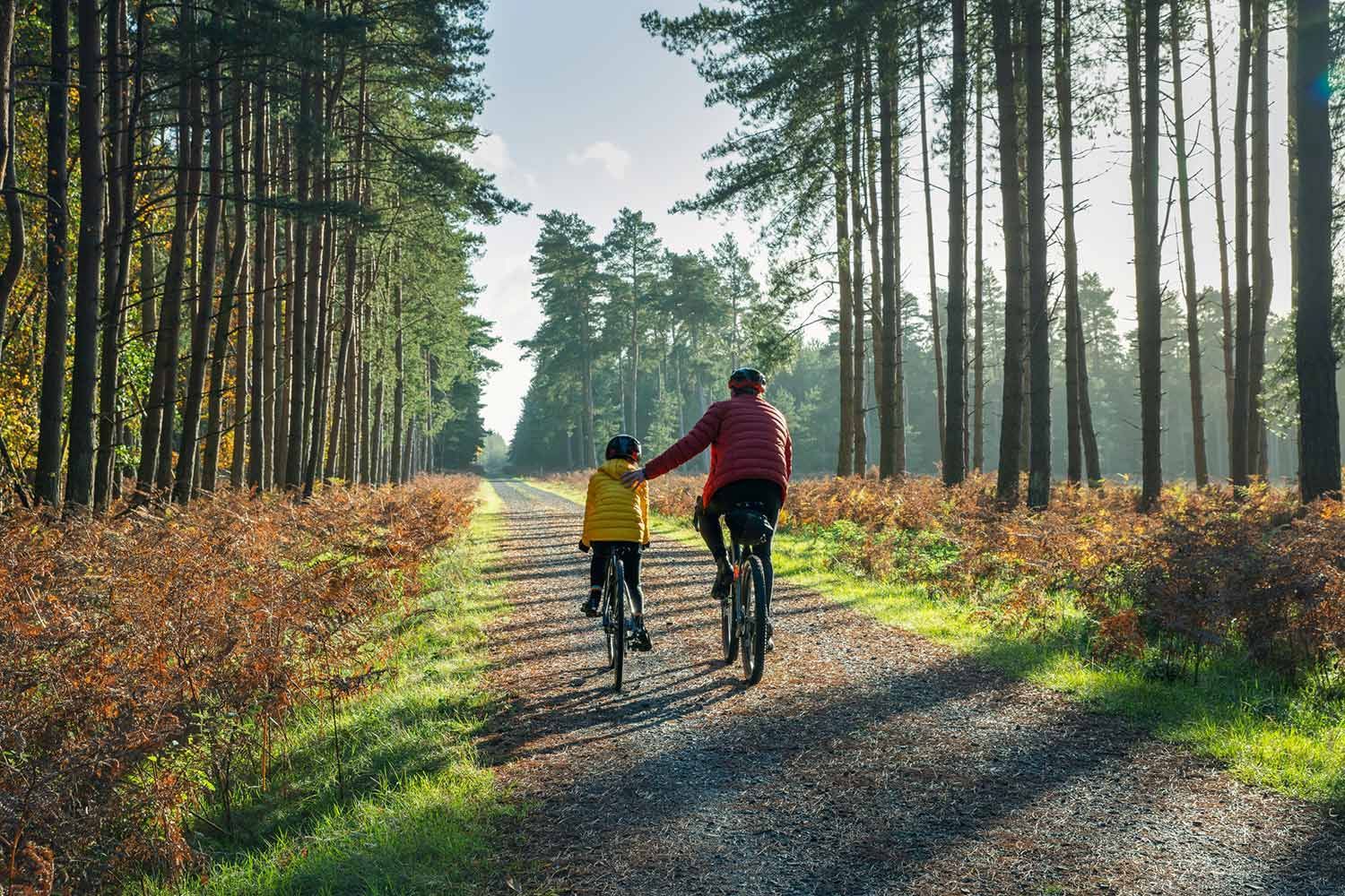Two people biking on a forest path lined with tall trees, sunny day.