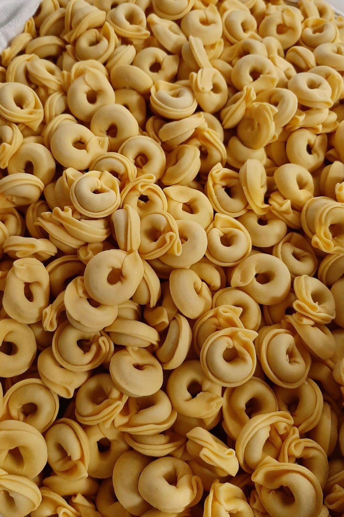 Tortellini ripieni appena realizzati