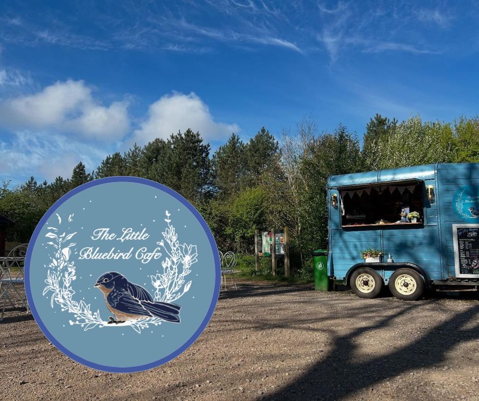 A blue food trailer, The Little Bluebird Cafe, with trees and a bright sky in the background.