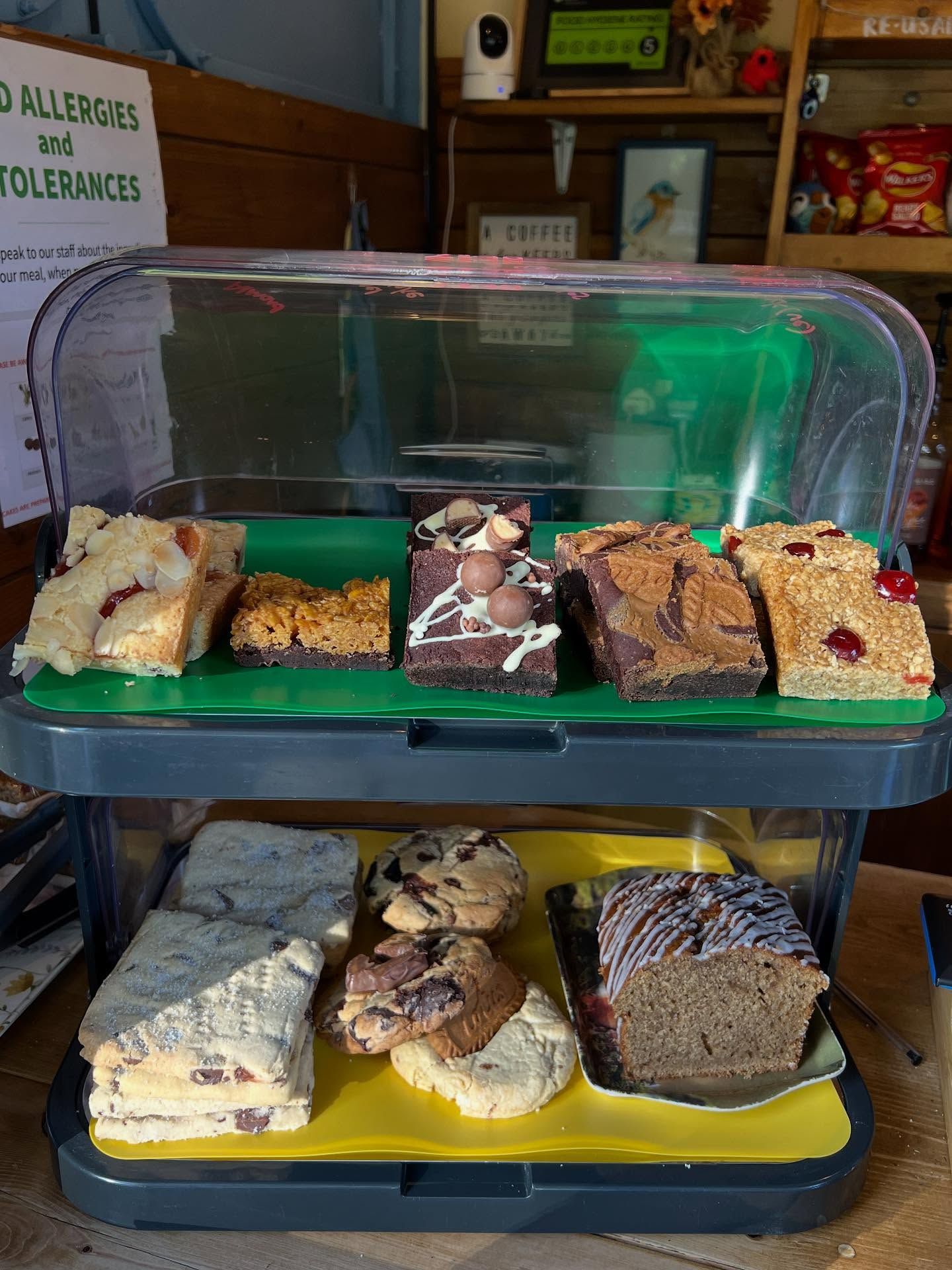 Display case with various baked goods: brownies, cookies, cake, and bars.