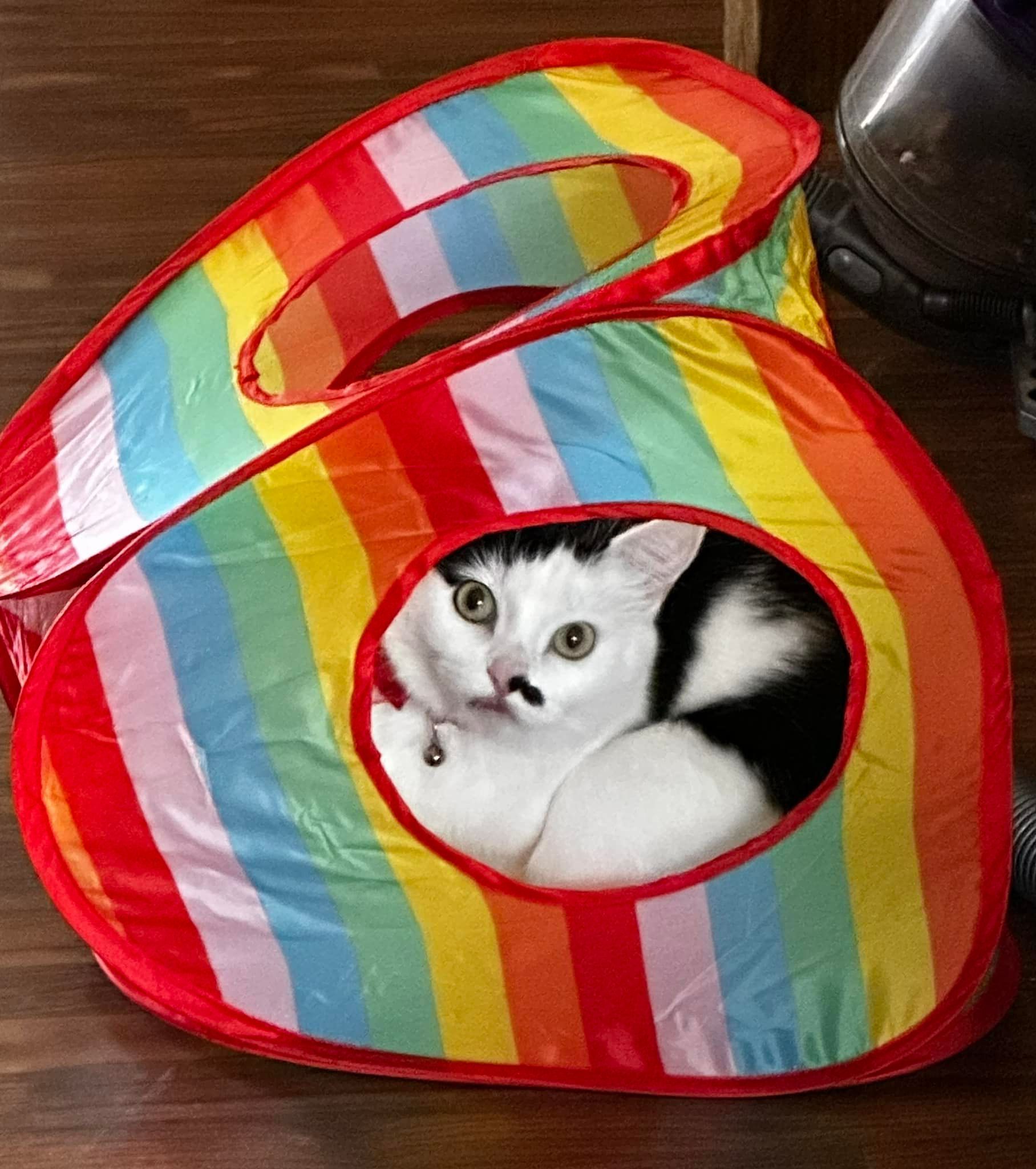 A tiger is laying in the grass with its tongue out.