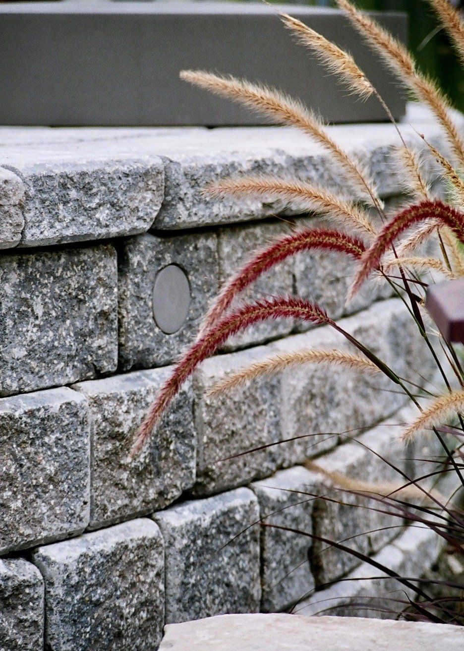 A stone wall with a plant in front of it