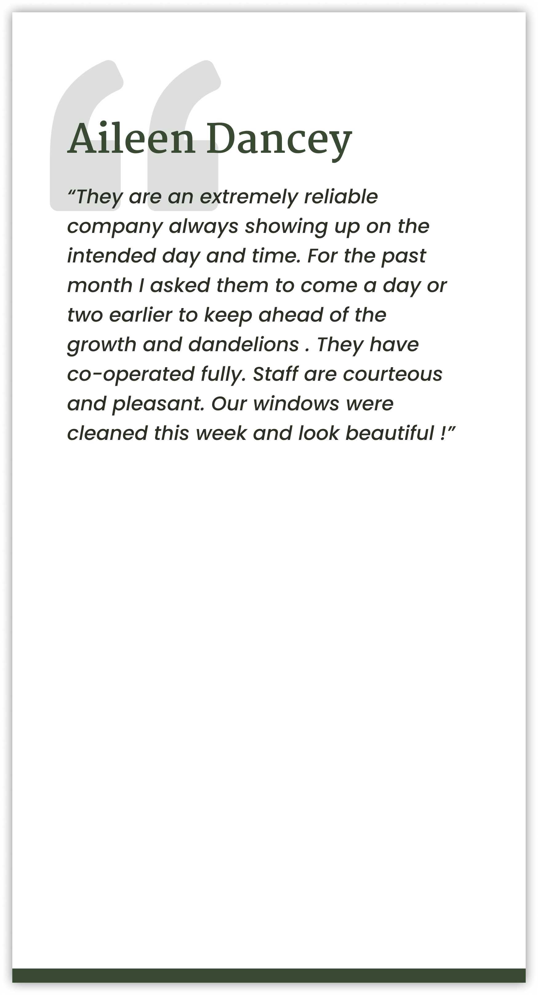 A quote from aileen dancey is on a white background.
