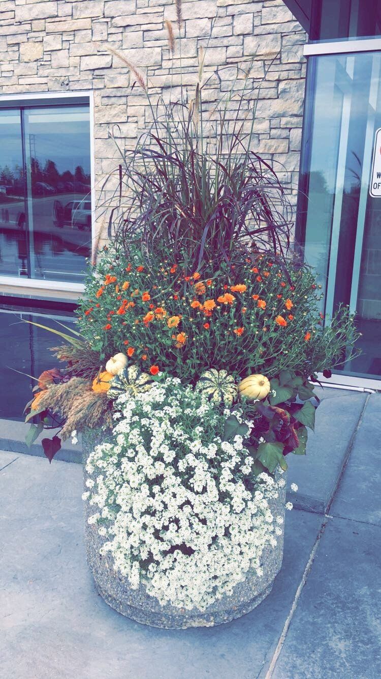 A large planter filled with flowers and grass is in front of a building.