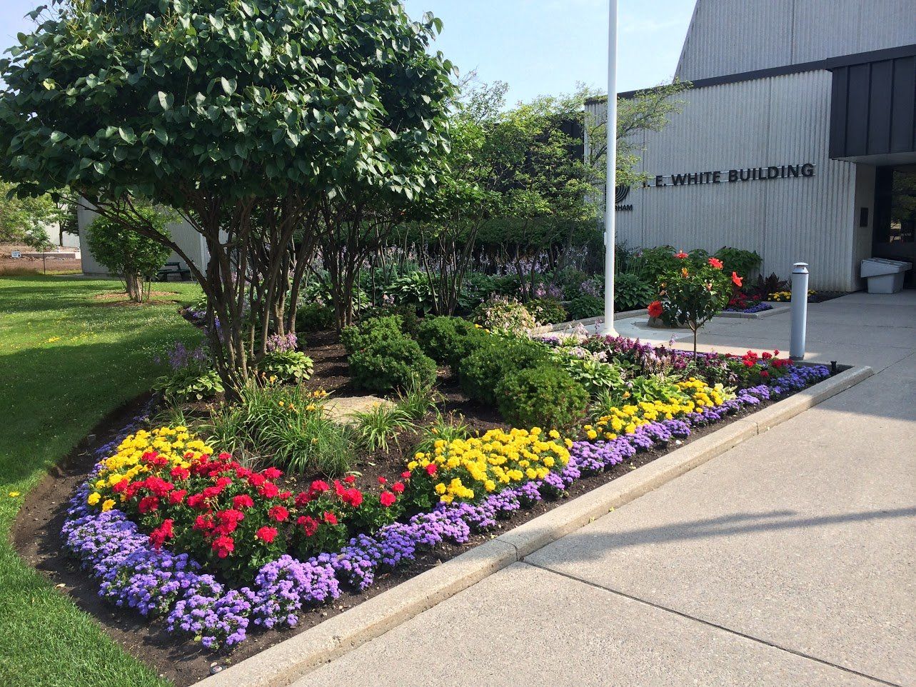 A garden with flowers and trees in front of a building
