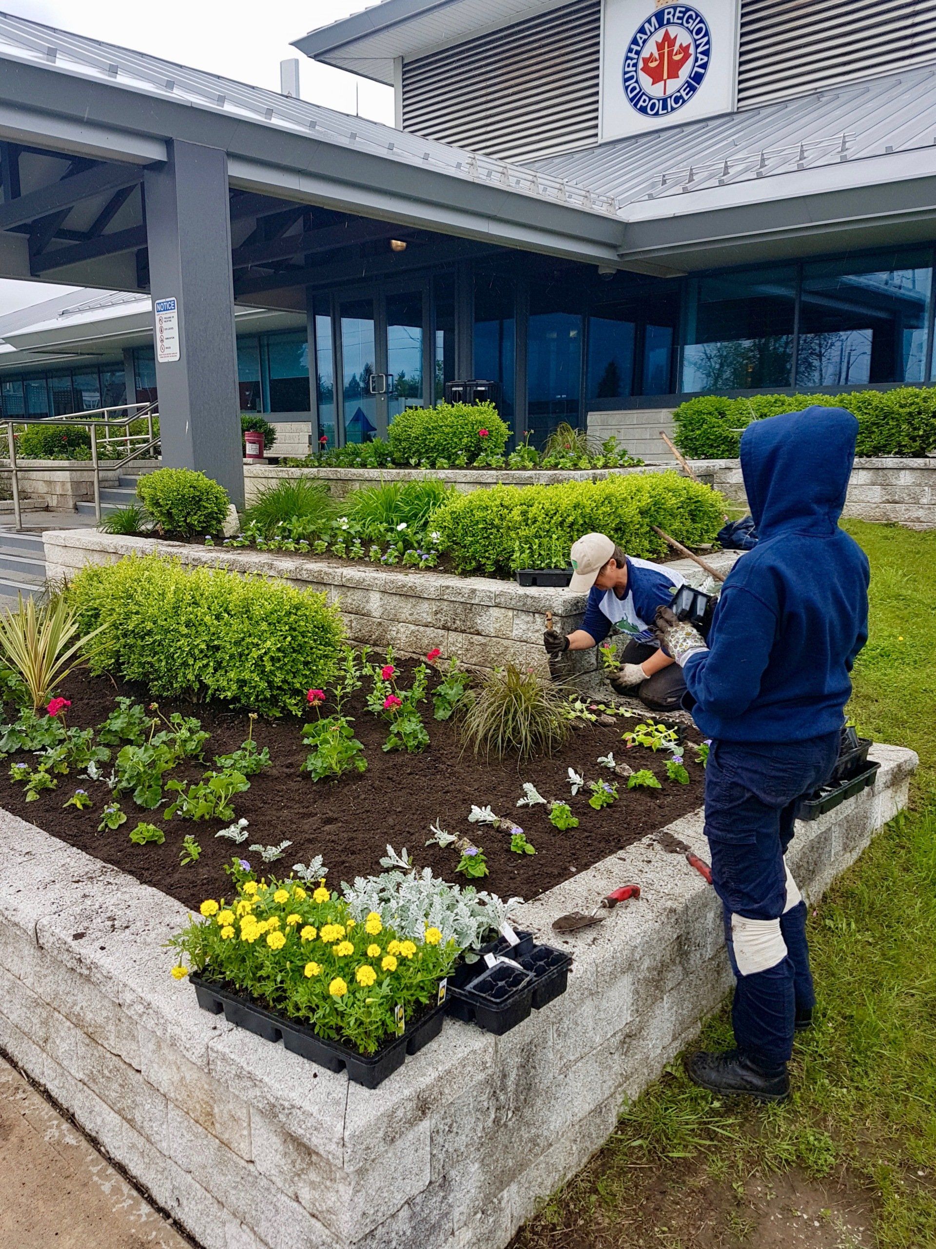 Two people are working in a garden in front of a building.