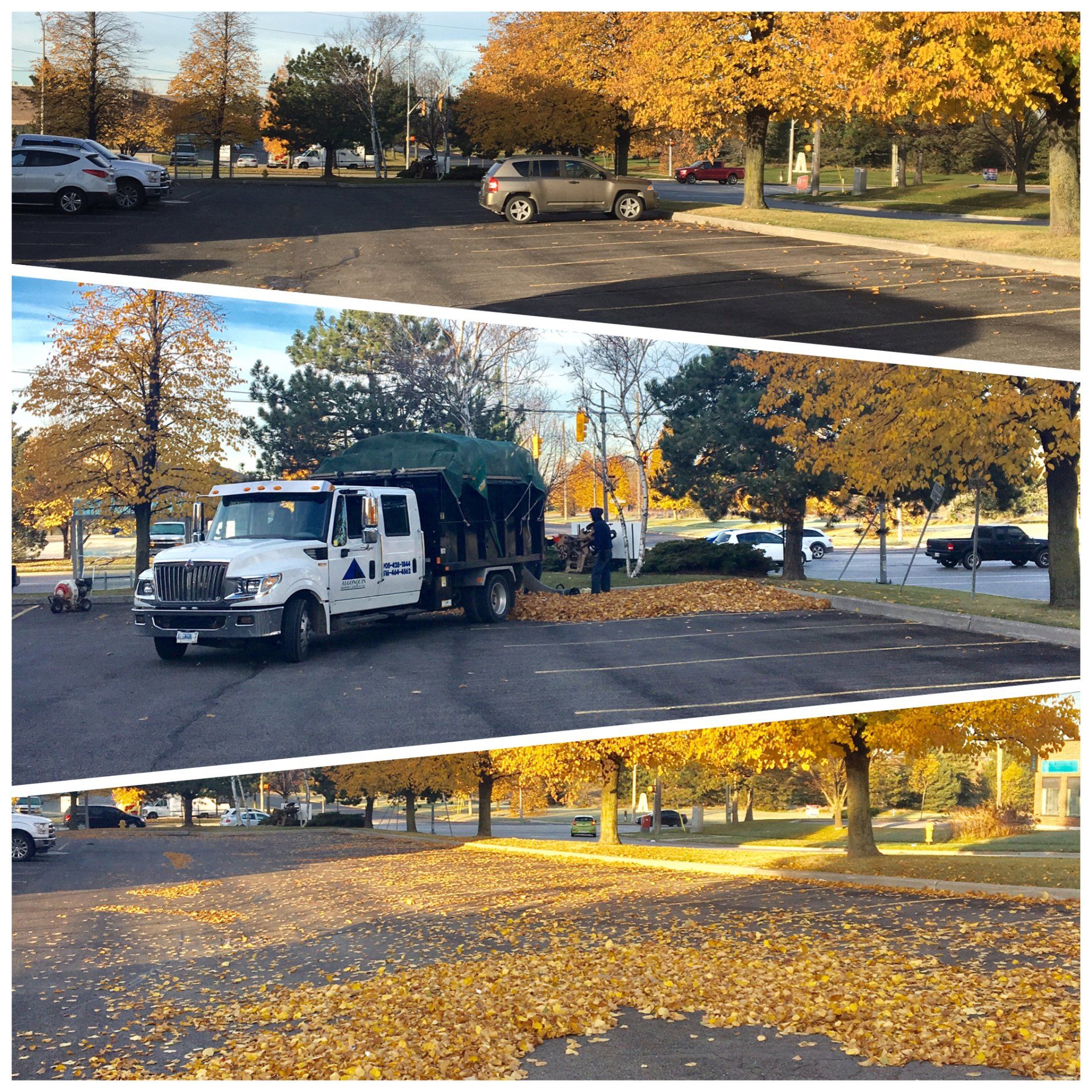 A dump truck is driving through a parking lot full of leaves