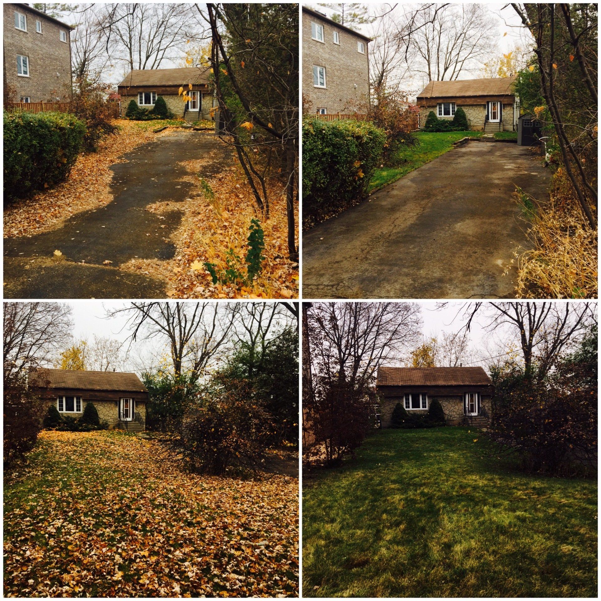 A collage of four pictures of a driveway leading to a house