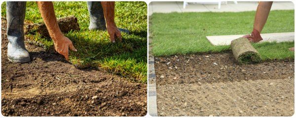 Available Sod Types Hunts Turf Farm Calhoun Ga