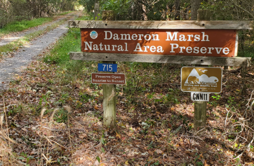 Sign for Dameron Marsh Natural Area Preserve amidst lush greenery. A gravel path leads into the forest. Additional signs indicate hours and a trail emblem.