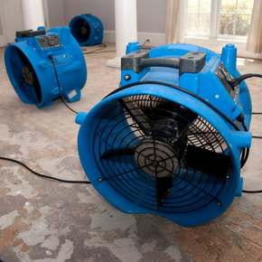 Two blue fans are sitting on the floor in a room