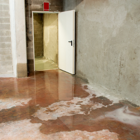 A water flooded room with a white door and a brick wall