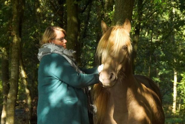 Ontspanning Retraite met paarden
