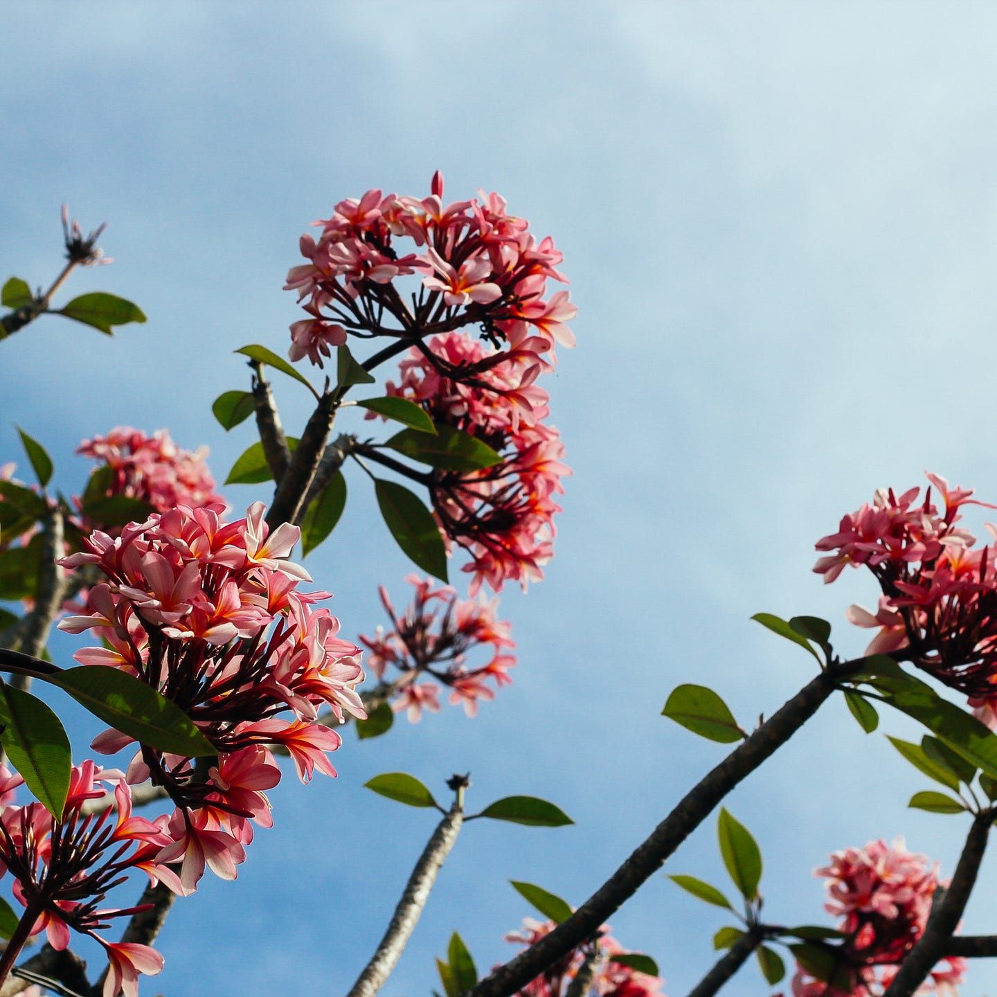 schnupperreisen singles