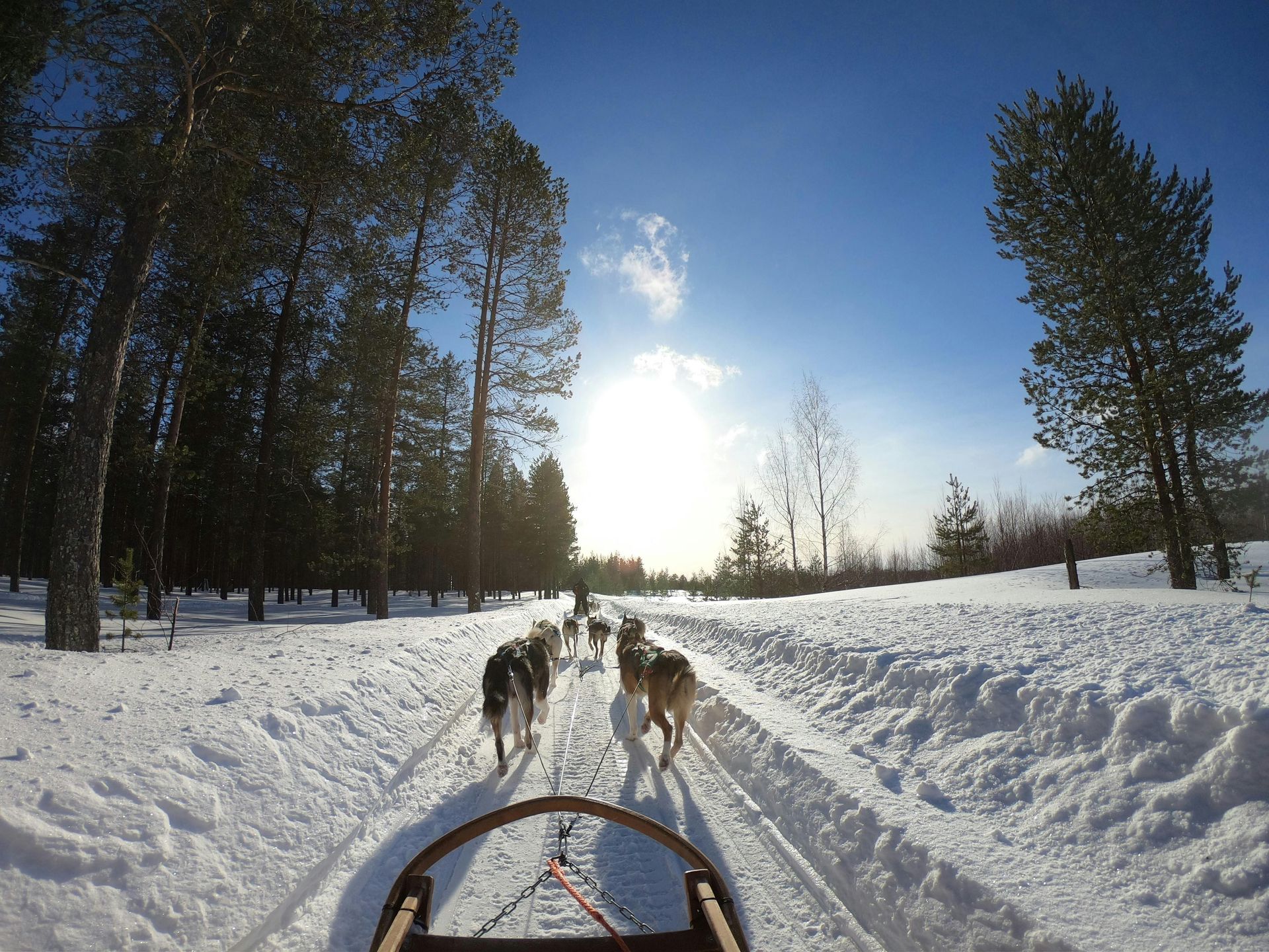 schweden für alleinreisende