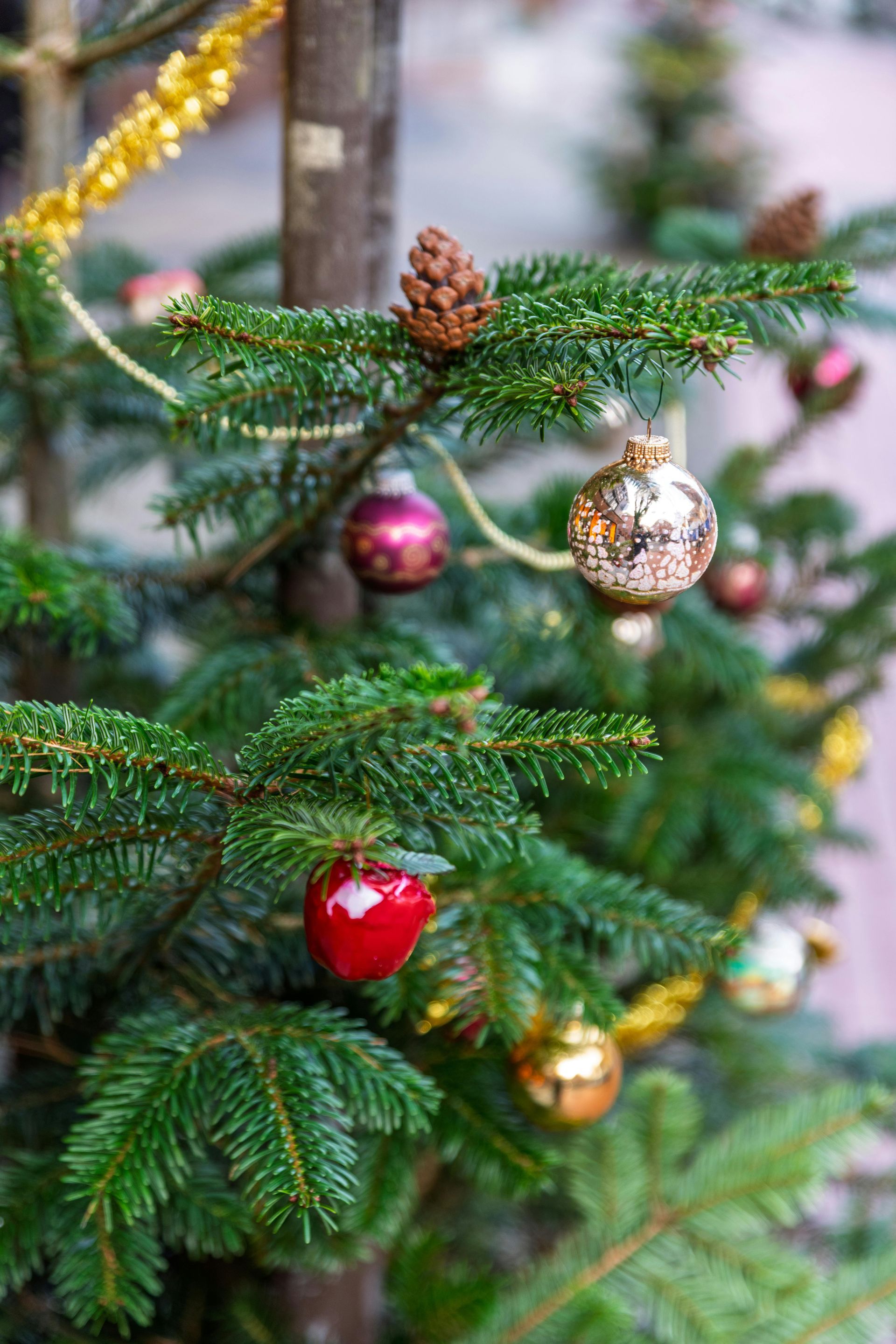 Weihnachten für alleinreisende ab 50