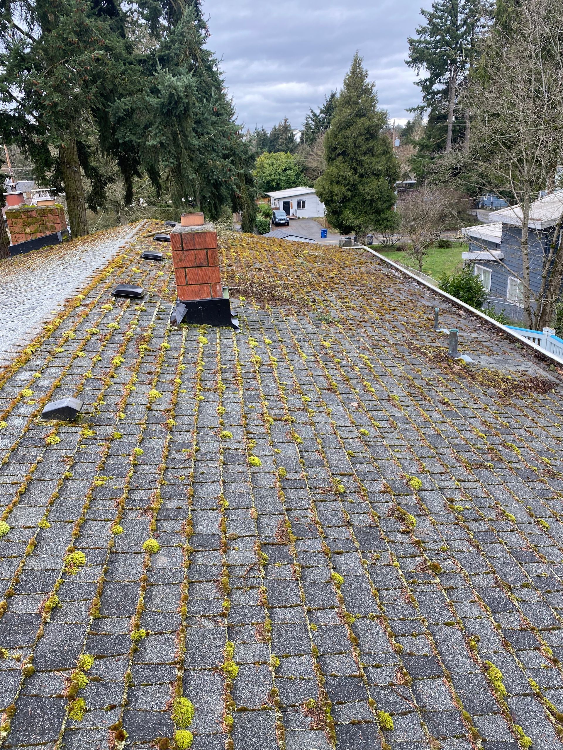 A shingled rooftop covered in moss with a brick chimney and trees in the background.