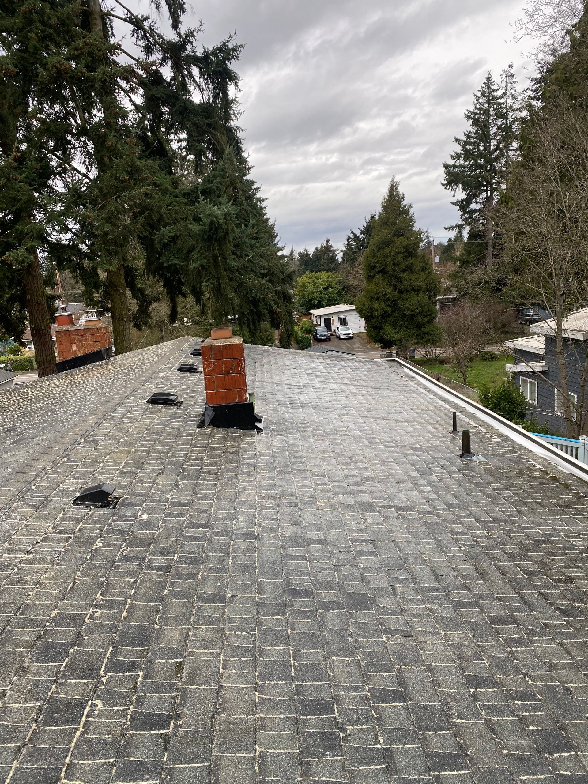 Gray shingle roof with a brick chimney and surrounding trees under an overcast sky.