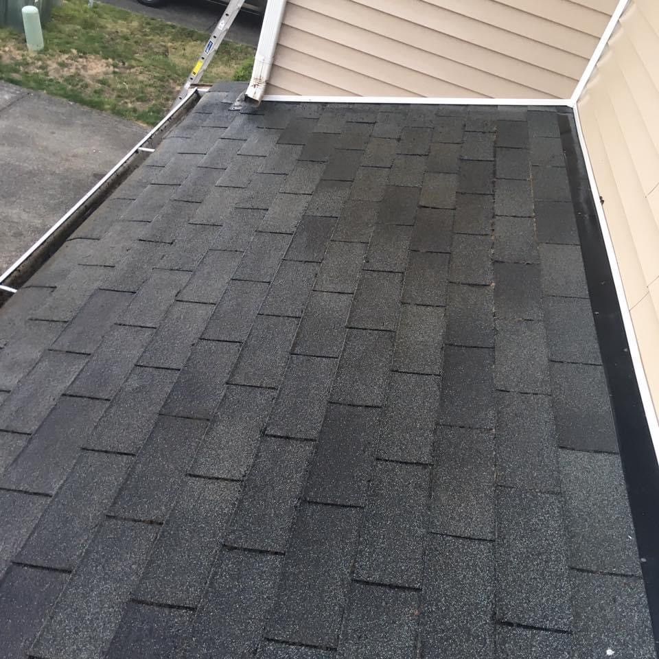 A roof with black shingles and a ladder on it