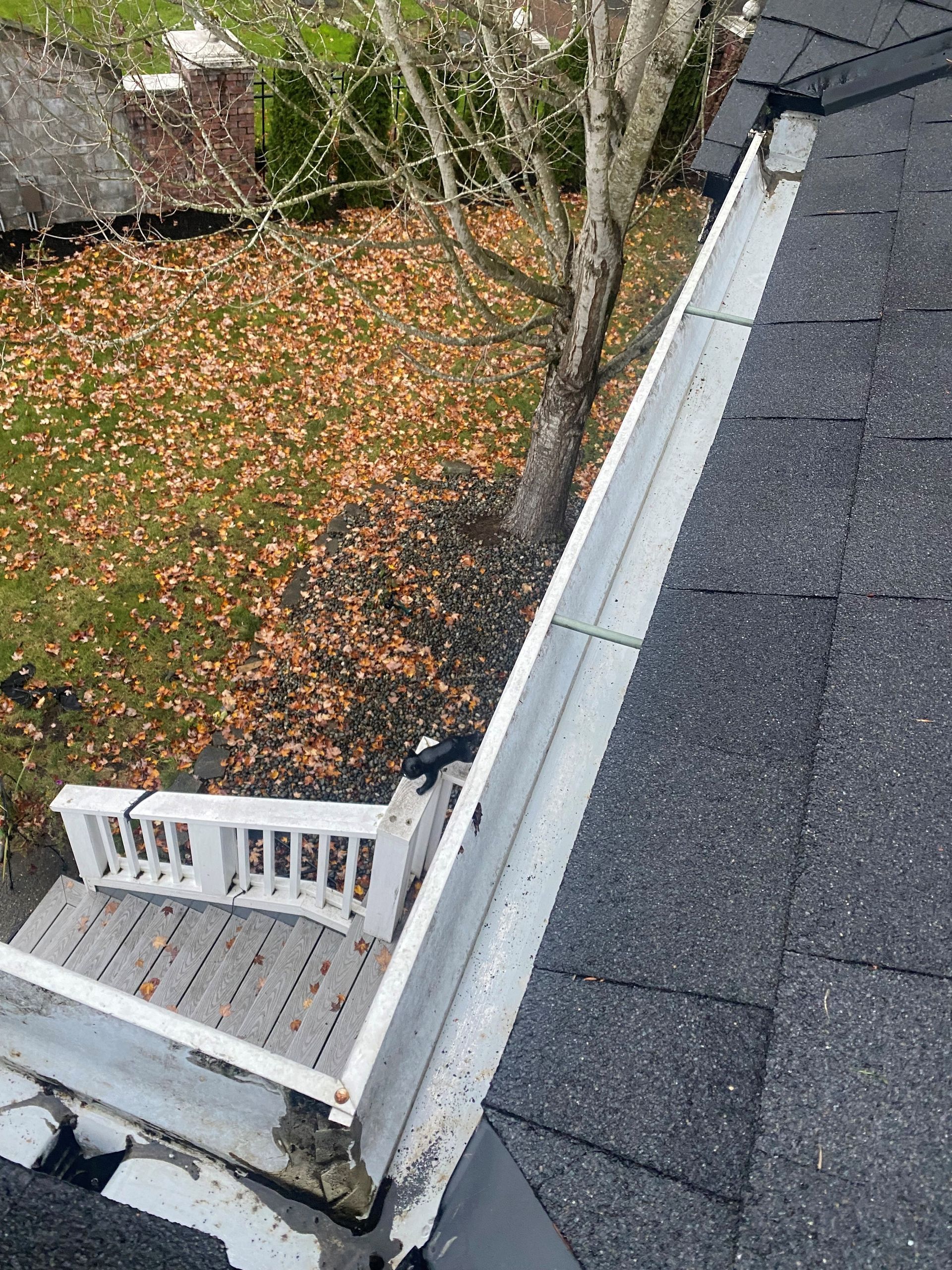A gutter on the side of a house with a tree in the background.