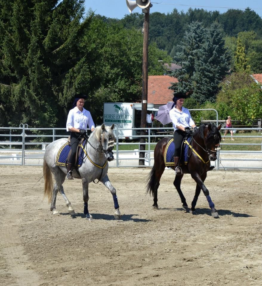 2 Pferde und Reiter nebeneinander