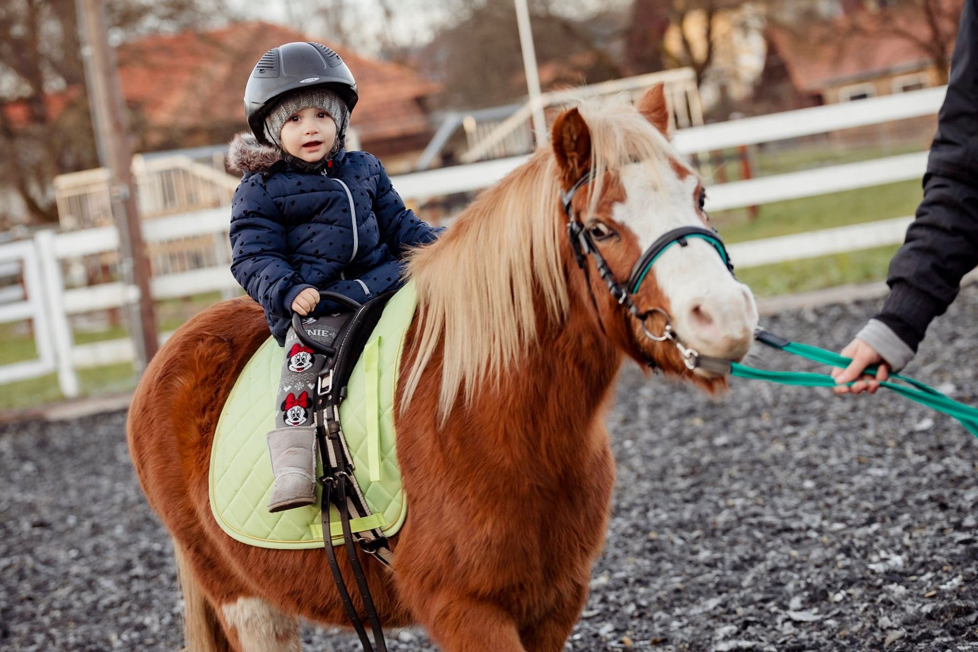 kleines Kind mit Helm sitzt auf einem Pony