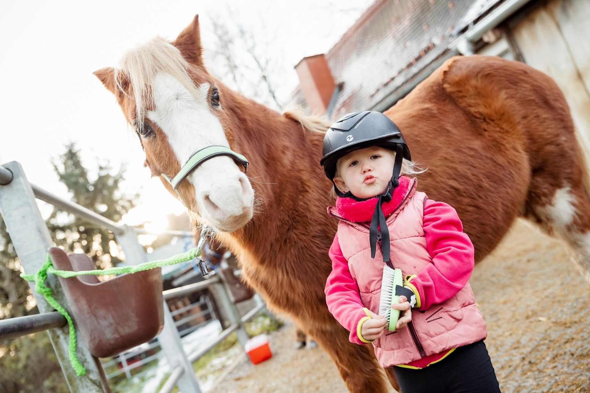 ein kleines Mädchen mit pinker Jacke striegelt ein Pony und schaut in die Kamera