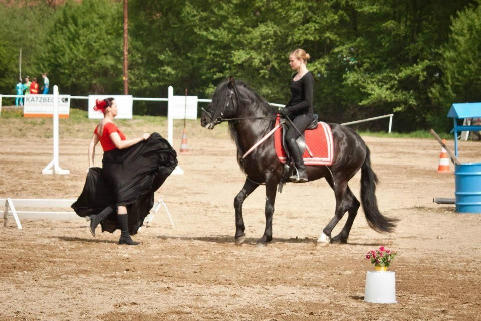 eine Flamenco Aufführung und ein schwarzes spanisches Pferd