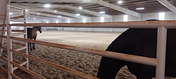 A horse is standing in a fenced in area in a stable.