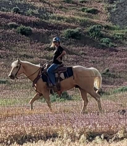 A woman is riding a horse through a field.