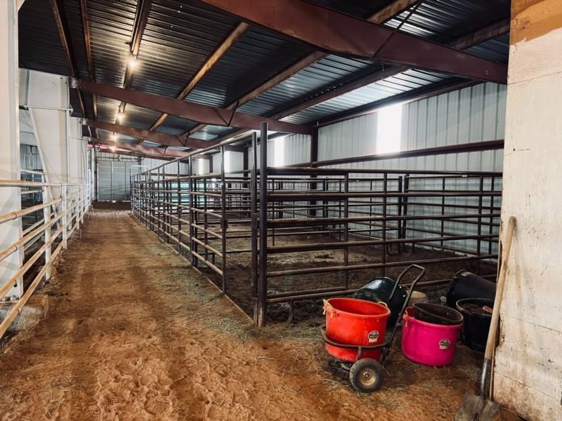 A horse stable with buckets and a shovel in it.