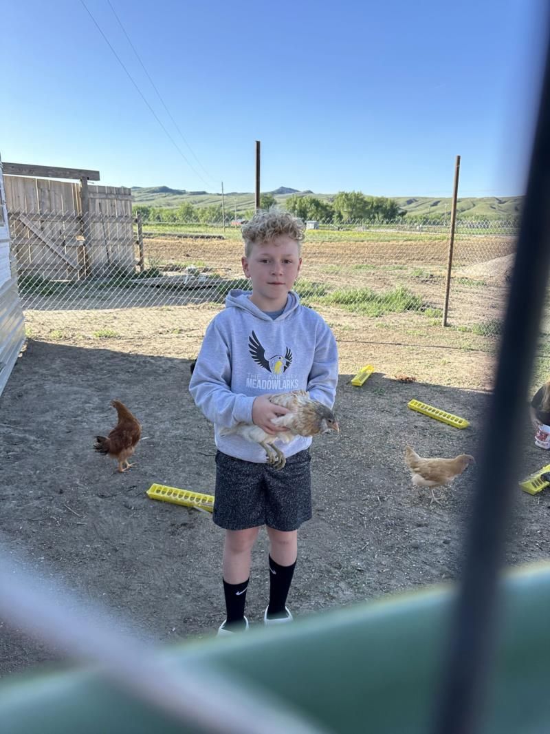 A young boy is holding a chicken in a chicken coop.