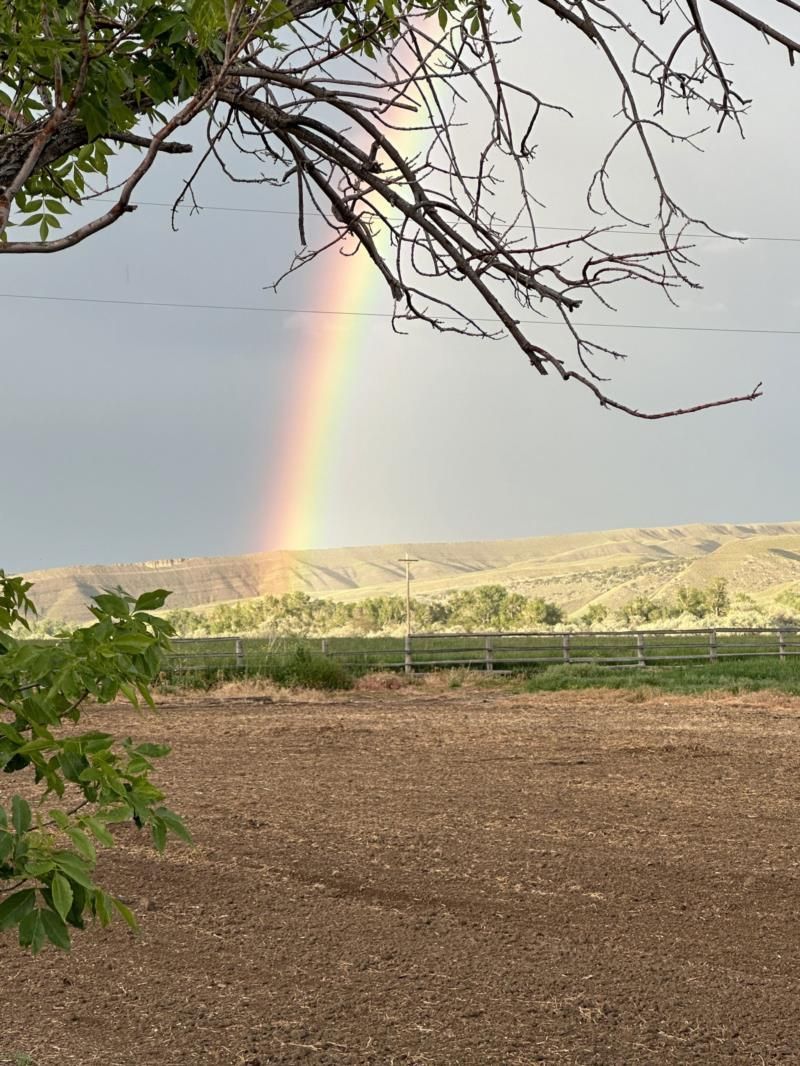 There is a rainbow in the sky over a field.